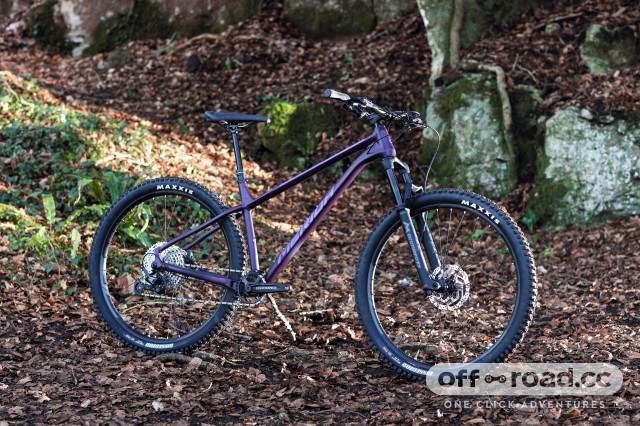 Best 29 deals hardtail